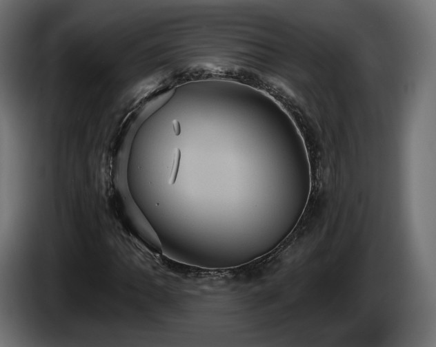 X0000084531062200703021415