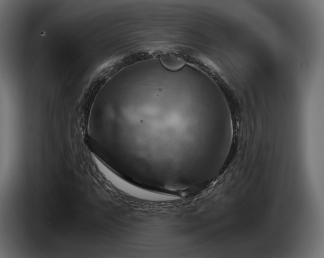 X0000084531063200703021415