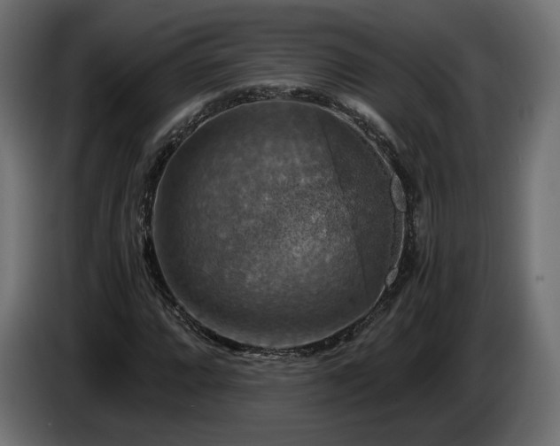 X0000084531064200703021415