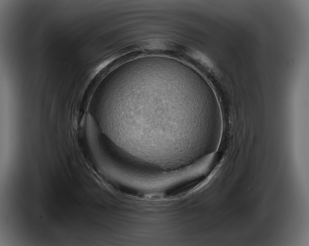 X0000084531065200703021415