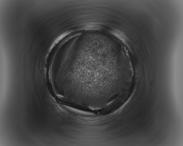 X0000084531066200703021415