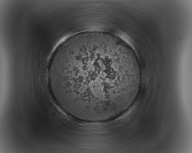 X0000084531067200703021415
