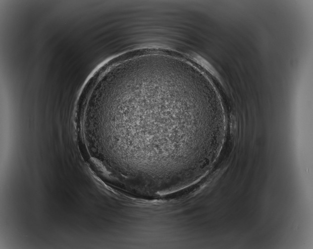 X0000084531068200703021415