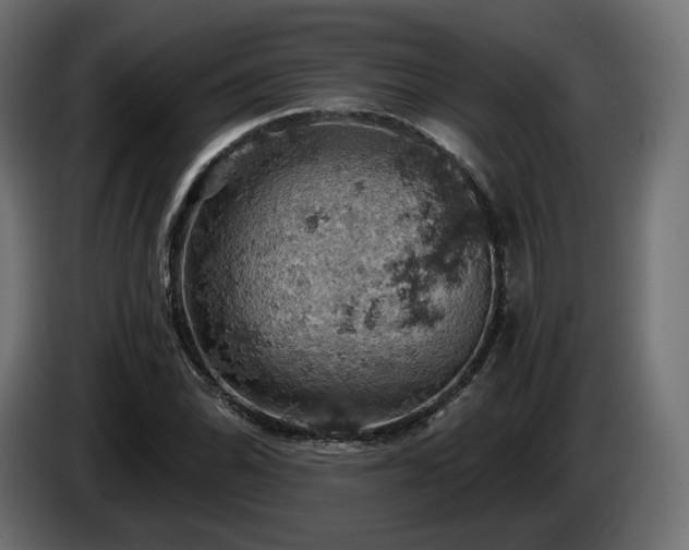 X0000084531070200703021415