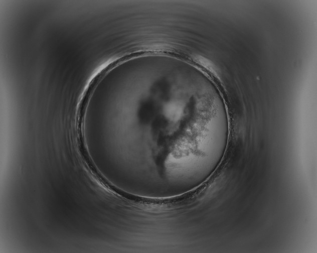 X0000084531071200703021415