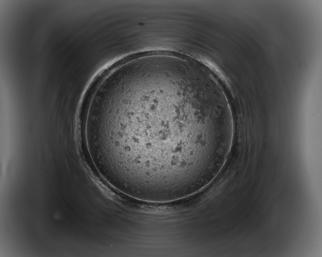 X0000084531072200703021415