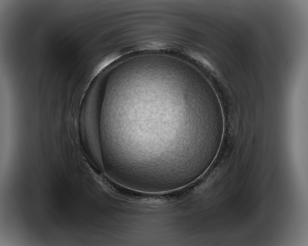 X0000084531073200703021415
