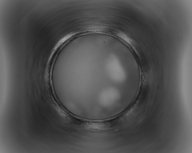 X0000084531074200703021415
