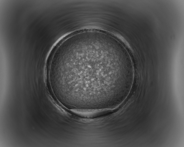 X0000084531076200703021415