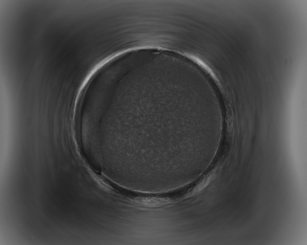 X0000084531077200703021415