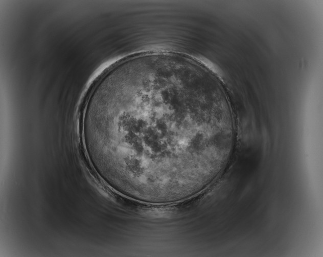 X0000084531078200703021415