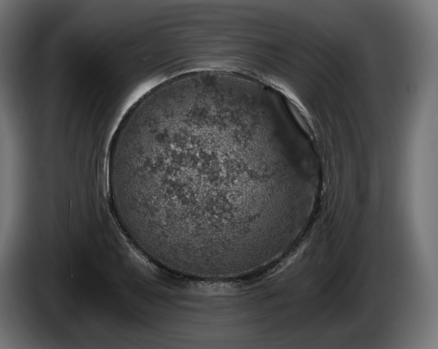X0000084531079200703021415