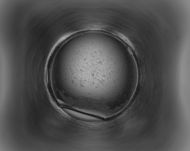 X0000084531080200703021415