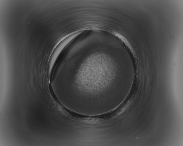 X0000084531081200703021415