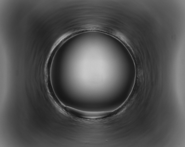 X0000084531082200703021415