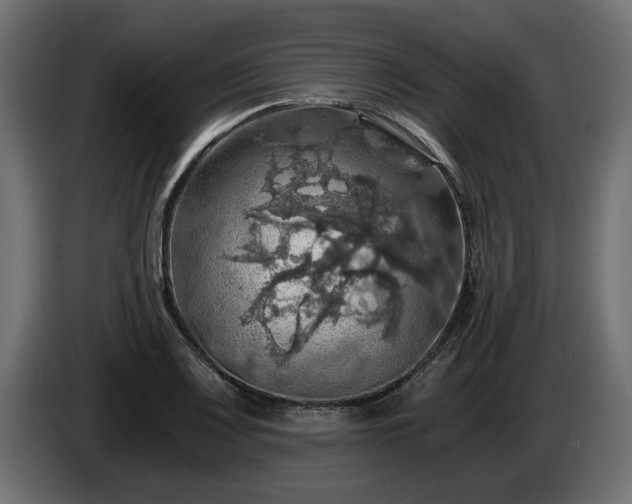 X0000084531083200703021415