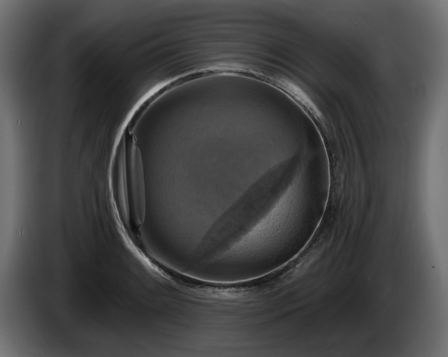 X0000084531084200703021415
