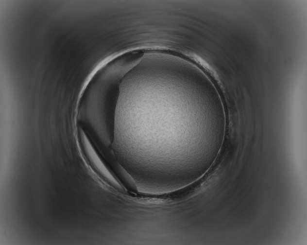 X0000084531085200703021415
