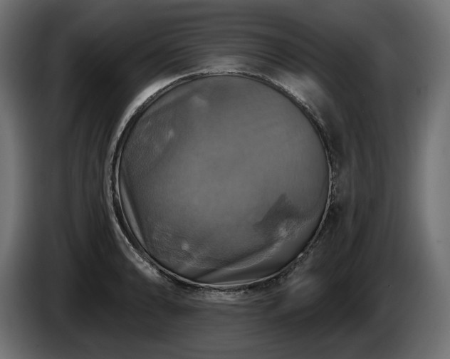 X0000084531086200703021415