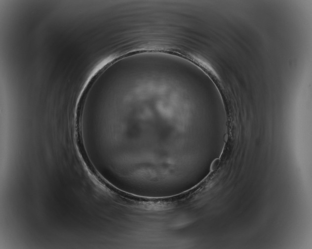 X0000084531087200703021415