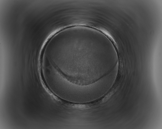 X0000084531088200703021415