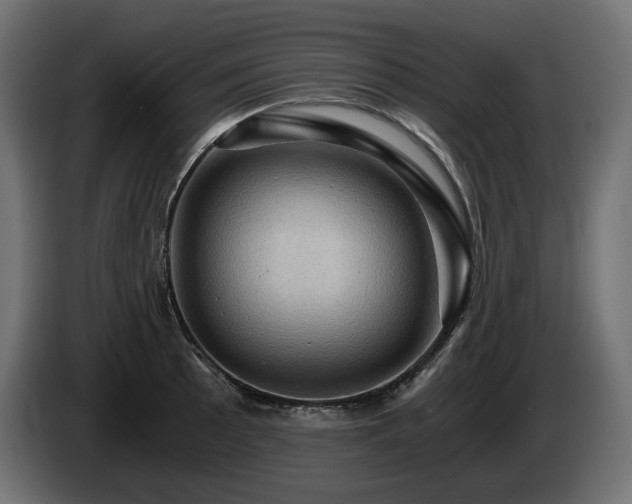 X0000084531089200703021415