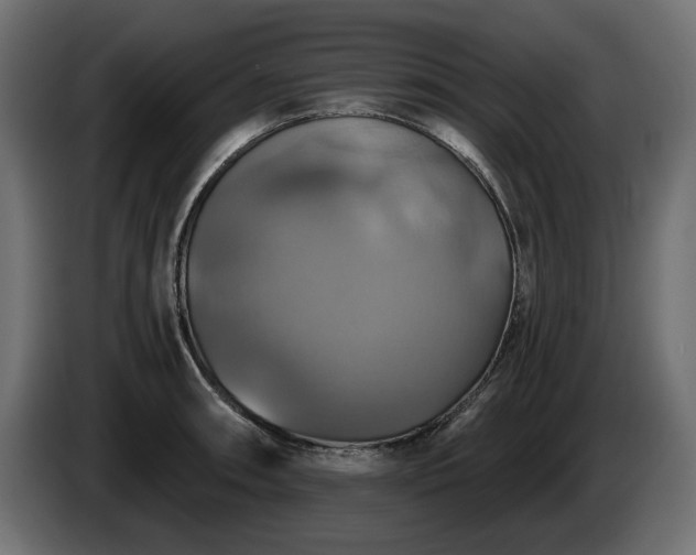 X0000084531090200703021415