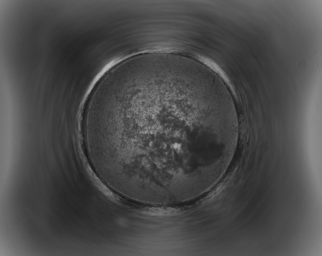 X0000084531091200703021415