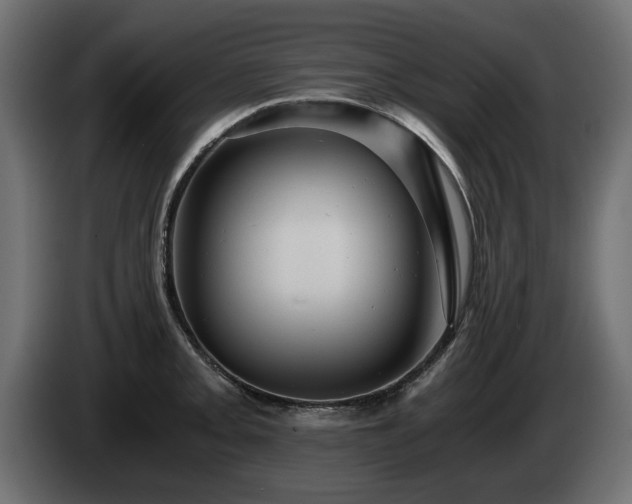 X0000084531093200703021415