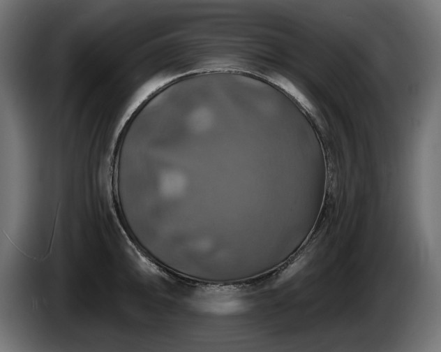 X0000084531094200703021415
