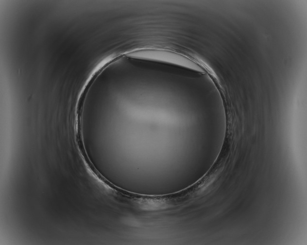 X0000084531095200703021415