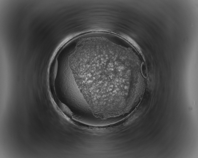 X0000084531096200703021415