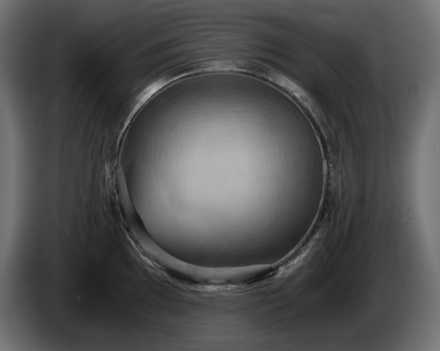 X0000084531097200703021415