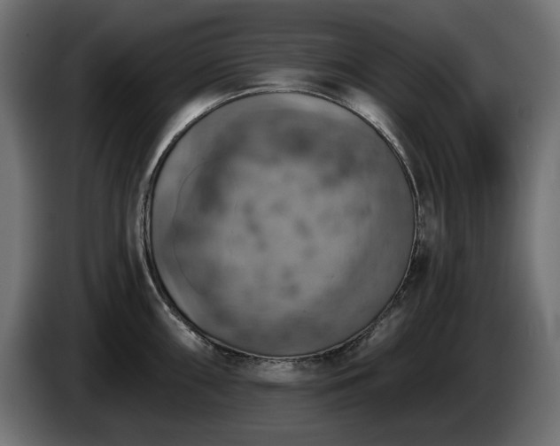 X0000084531098200703021415