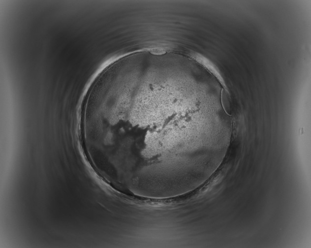 X0000084531099200703021415