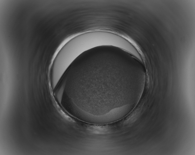 X0000084531102200703021414