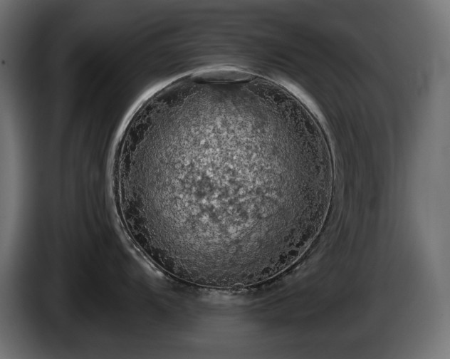 X0000084531104200703021414