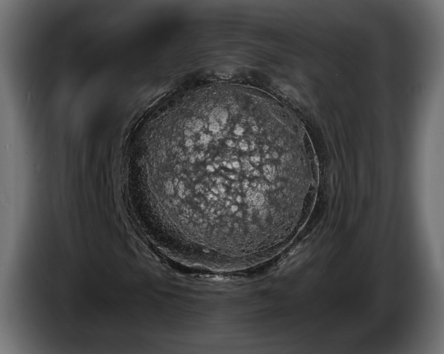 X0000084531105200703021414