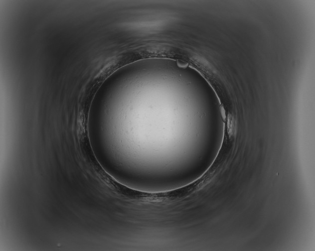 X0000084531107200703021414