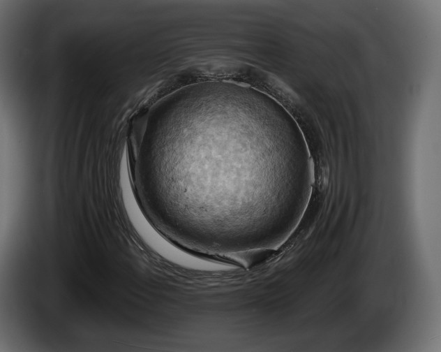 X0000084531108200703021414