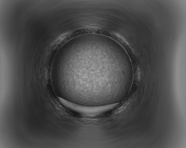 X0000084531110200703021414