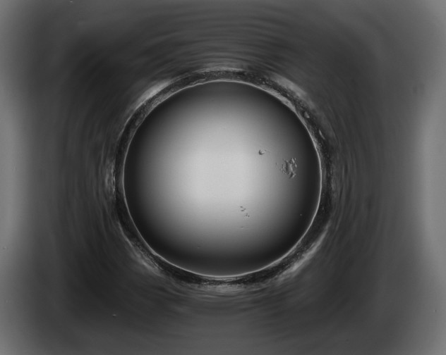 X0000084531113200703021414
