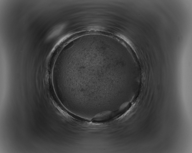 X0000084531115200703021414