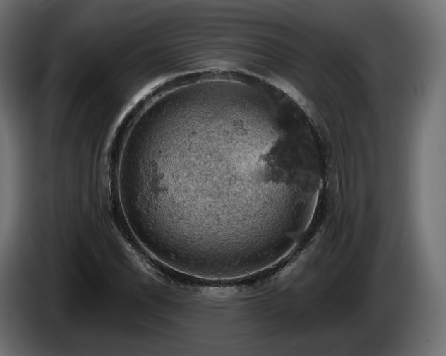 X0000084531118200703021414