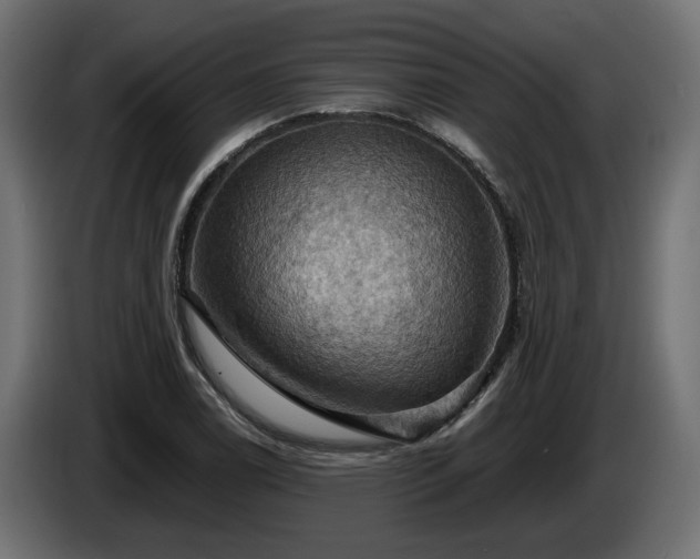 X0000084531122200703021414