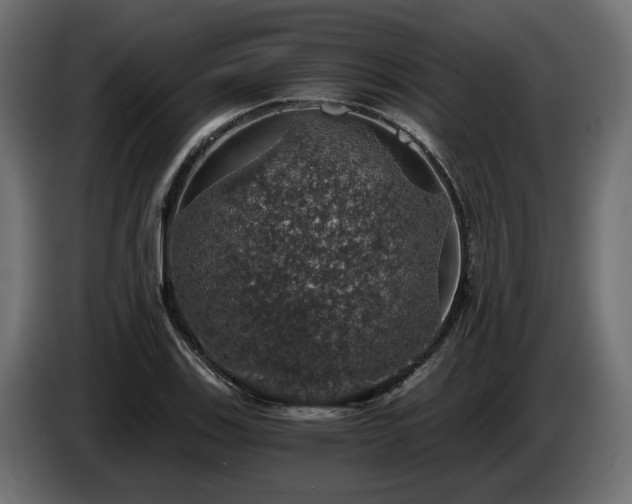 X0000084531123200703021414