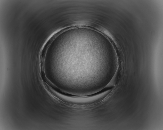 X0000084531124200703021414