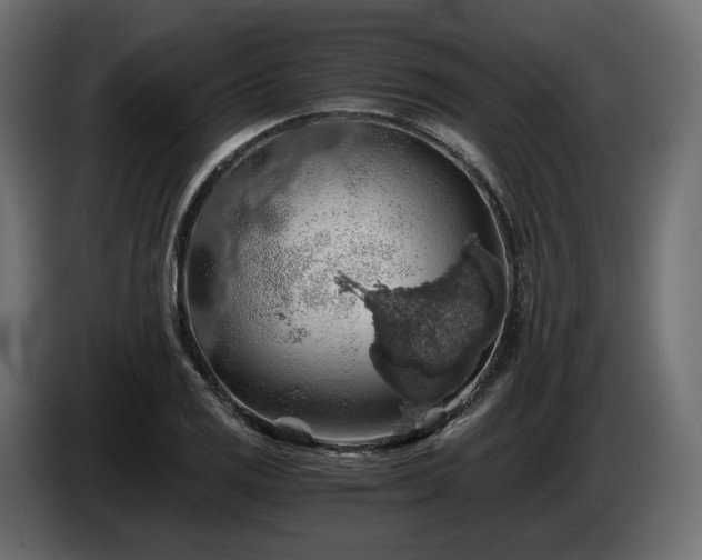 X0000084531125200703021414