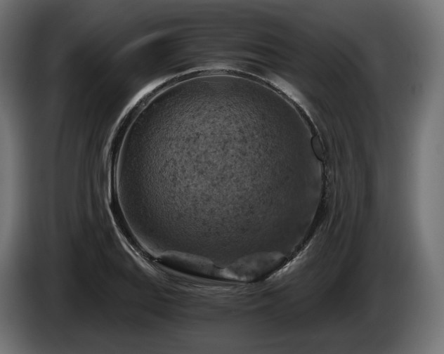 X0000084531127200703021414