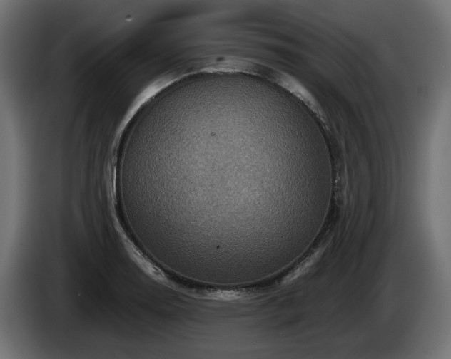 X0000084531130200703021414